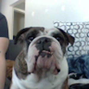 Meet your Posher, Daisy